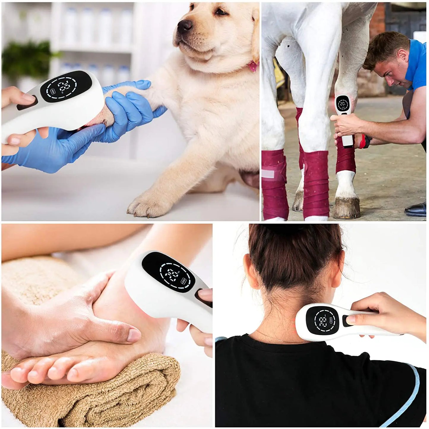 Therapy Device
